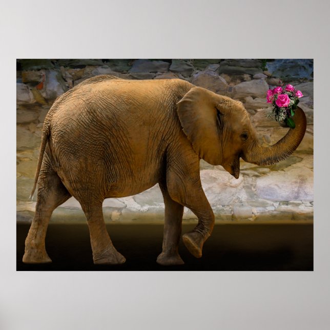 Jungle Elephant Holding Blume Poster (Vorne)