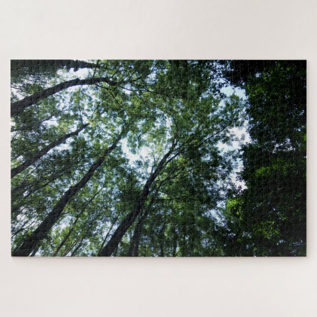 Jungle Jigsaw Puzzle (Horizontal)