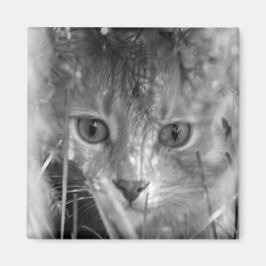 Jungle Legend B&W Magnet