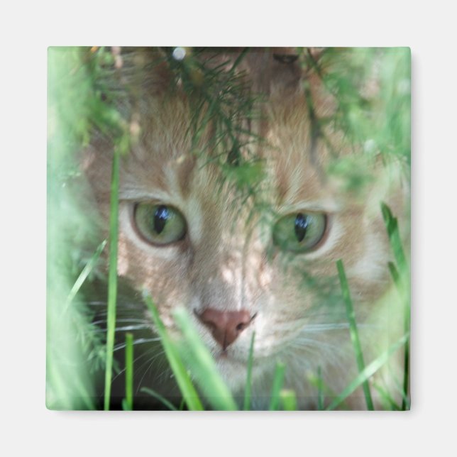 Jungle Legend Magnet (Vorne)