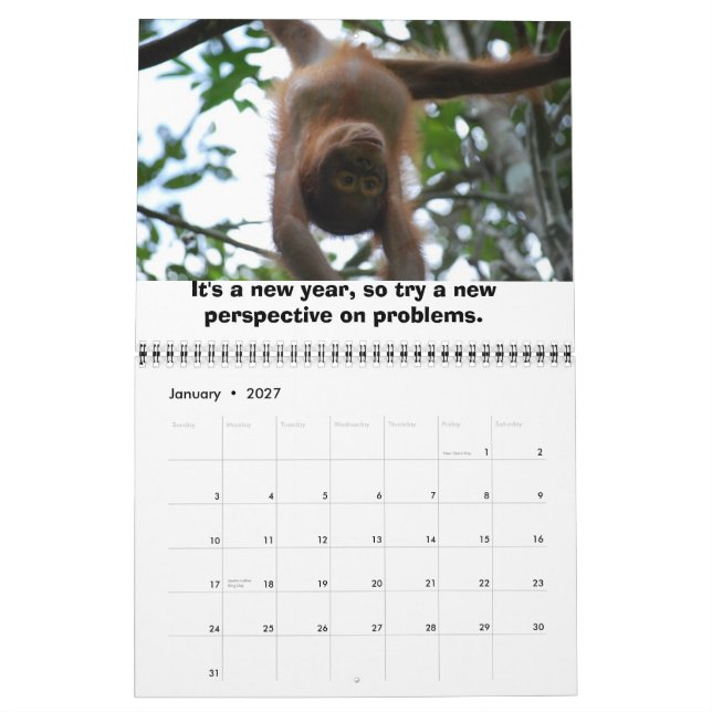 Jungle Lessons Wild Kalender (Jan 2027)