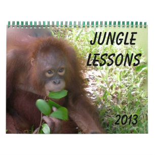 Jungle Lessons Wildlife Orangutans Kalender