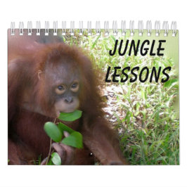 Jungle Lessons Wildtierkalender Kalender