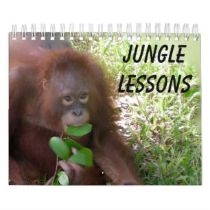 Jungle Lessons Wildtierkalender Kalender