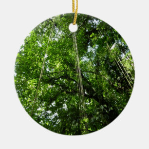 Jungle Ropes Rainforest Fotografie Keramik Ornament