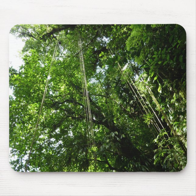 Jungle Ropes Rainforest Fotografie Mousepad (Vorne)