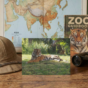 Jungle Royalty: Im Schatten ruhen Postkarte