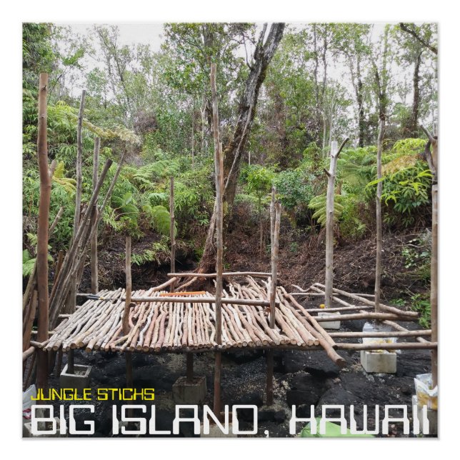 JUNGLE STICKS BIG ISLAND HAWAII POSTER (Vorderseite)