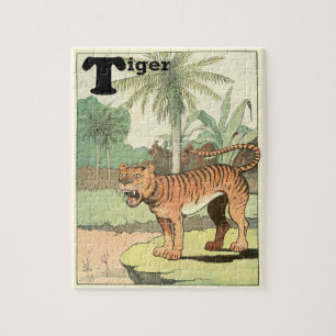 Jungle Tiger Animal Alphabet