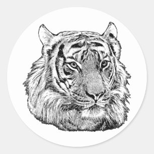 Jungle Tiger Face Safari Tierart Originalität Runder Aufkleber