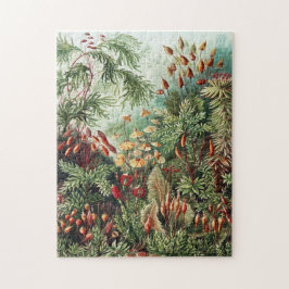 Jungle Wilderness Jungle Vintag