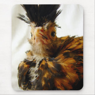 Jungpolnisch Mousepad