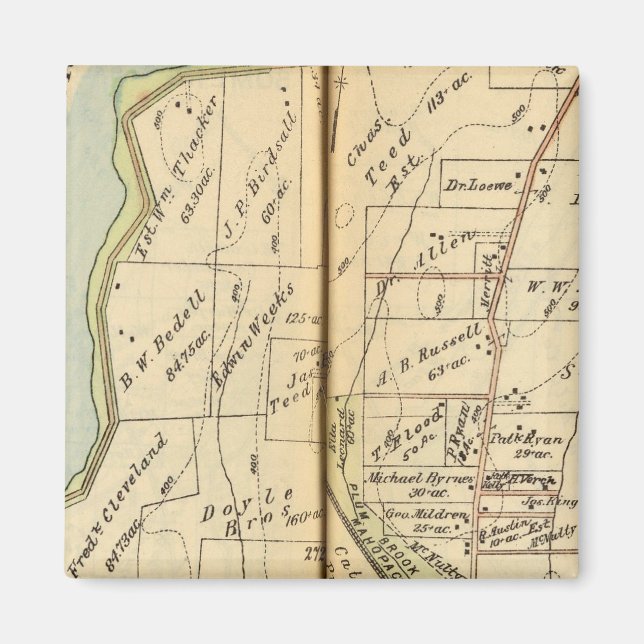 Jungs, New York Magnet (Vorne)