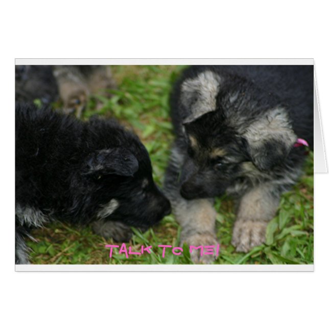 Jungtiere (Vorderseite (Horizontal))