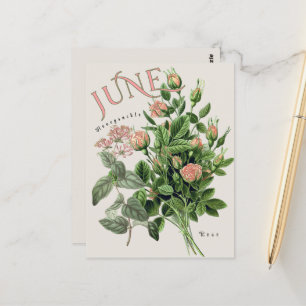 Juni-Monatsblumen Geißblatt Rose Beige Postkarte