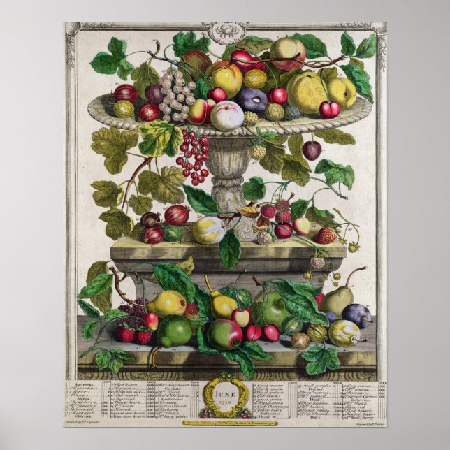 Juni, "Zwölf Monate Obst" Poster (Vorne)