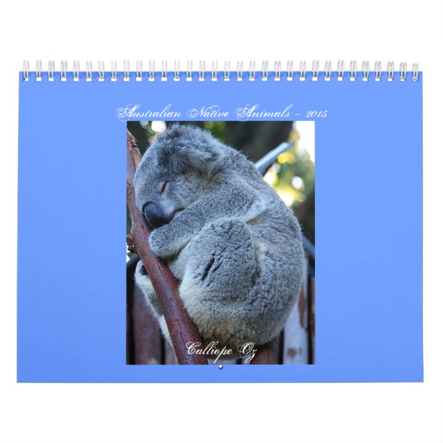Juniorkoala-Kalender Kalender (Titelbild)