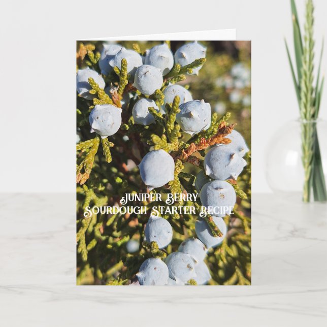 Juniper Berry Sourdough Starter Rezeptkarte Karte (Vorderseite)