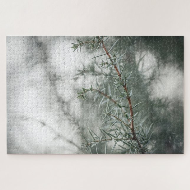 Juniper Nature Foto (Horizontal)