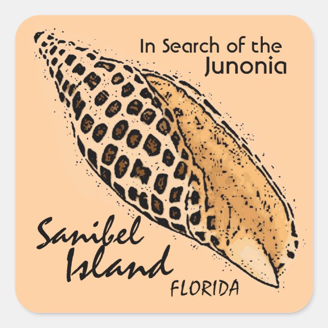 Junonia Muschel Sanibel Island Florida Aufkleber (Vorderseite)