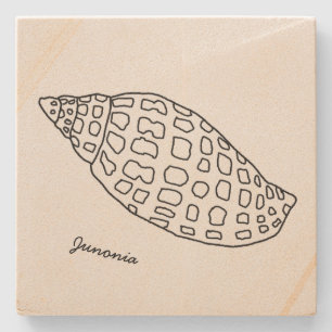 Junonia Seashell Zeichnend Untersetzer für tropisc