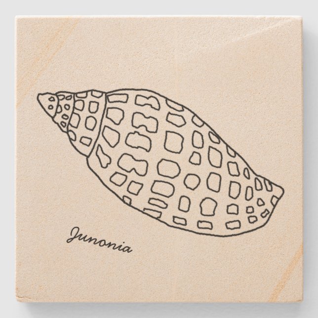 Junonia Seashell Zeichnend Untersetzer für tropisc (Vorderseite)
