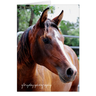 jupe arabe, glorydaysphotography