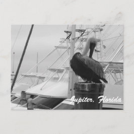 Jupiter, Postkarte des Pelikanischen Fotos