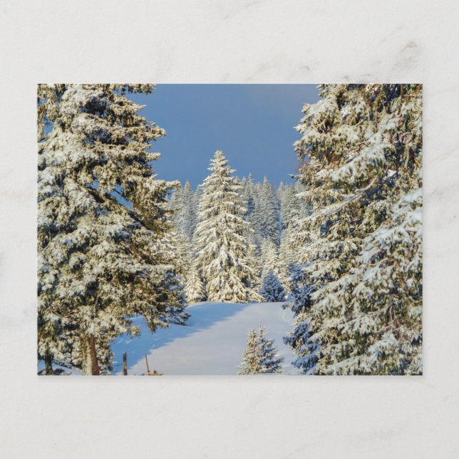 Juragebirge bei Wintersonnenuntergang, Schweiz Postkarte (Vorderseite)