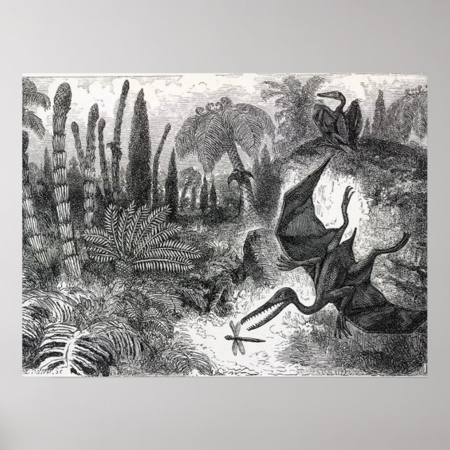 Jurassic Pterodactyls Poster (Vorne)