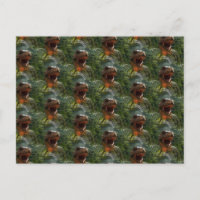 Jurassische Dinosaurier