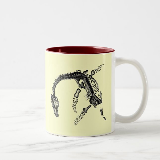 JuraVergünstigungen Zweifarbige Tasse (Rechts)