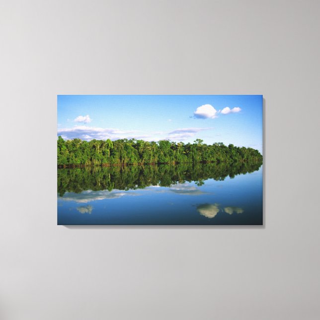 Juruena, Brasilien. Bewaldete Flussbank reflektier Leinwanddruck (Vorderseite)