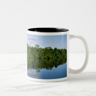 Juruena, Brasilien. Bewaldete Flussufer gespiegelt Zweifarbige Tasse