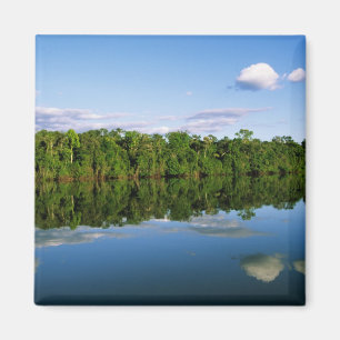 Juruena, Brasilien. Ufer eines bewaldeten Flusses  Magnet