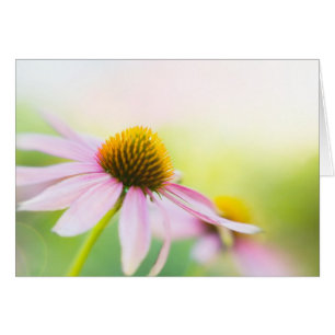 Jusqu'à la découverte de rayons de soleil vous