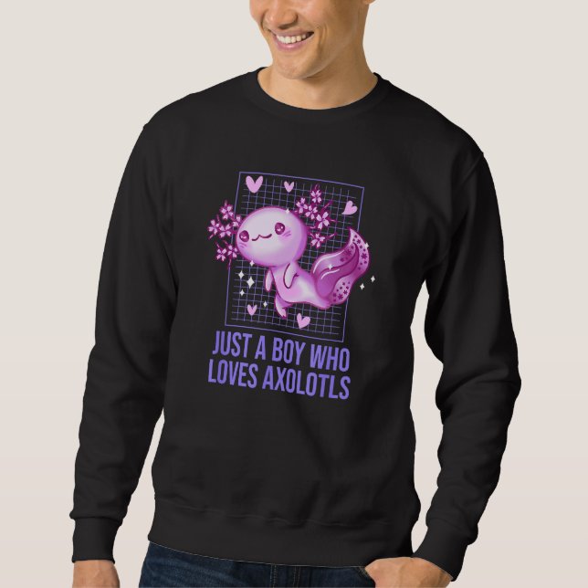 Just a Boy Who Loves Axolotl Salamander  Axolotl P Sweatshirt (Vorderseite)