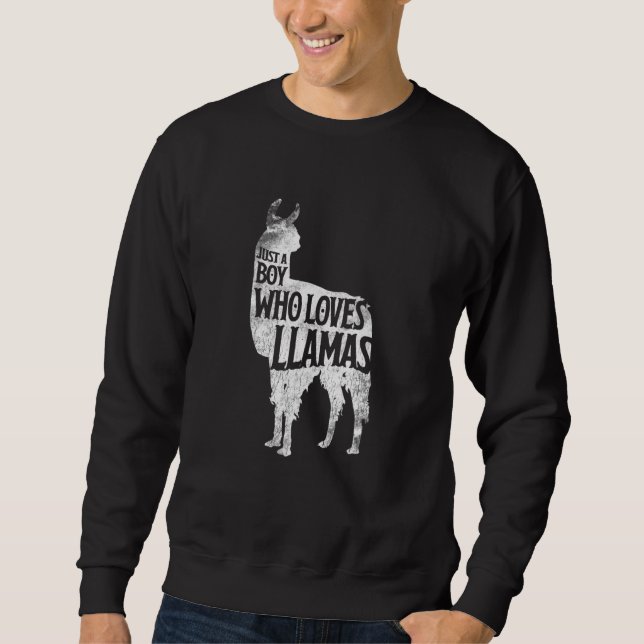 Just A Boy Who Loves Llamas Llama Boys Girls Costu Sweatshirt (Vorderseite)