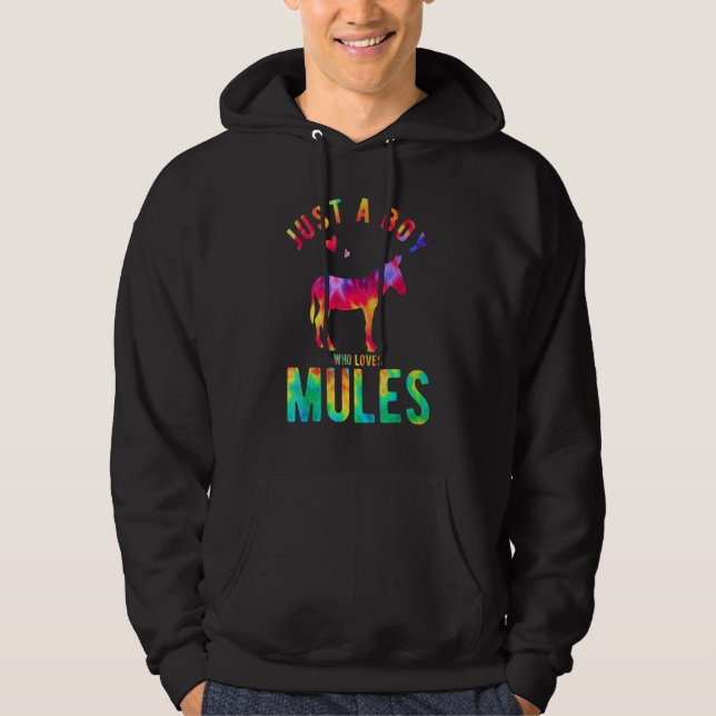 Just A Boy Who Loves Mules Mule Lover Funny Mule Hoodie (Vorderseite)