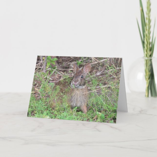 Just a Hare Olter - Birthday Bunny Card Karte (Vorderseite)