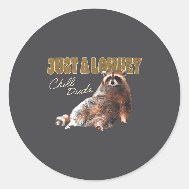 Just A Lowkey Chill Dude Cute Raccoon Funny Meme  Runder Aufkleber (Vorderseite)