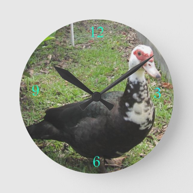 Just a Qwack in Time Runde Wanduhr (Vorderseite)