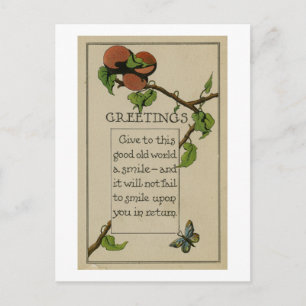 Just Beursache Greeting Card 1916 Postkarte