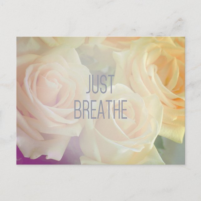 Just Breathe - Carte postale Rose (Devant)