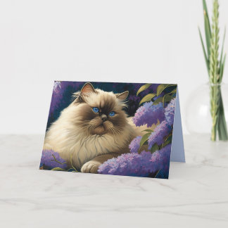 Just_cats Karte