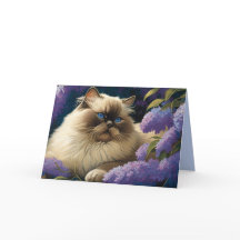 Just_cats