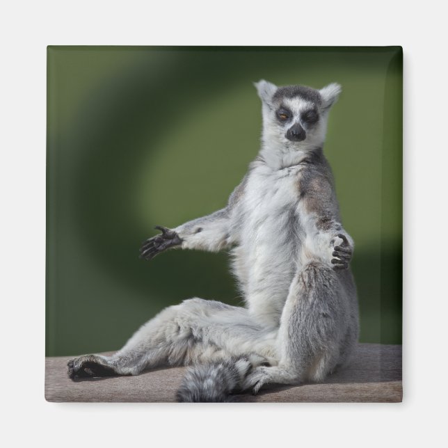 Just Chill Magnet (Vorne)