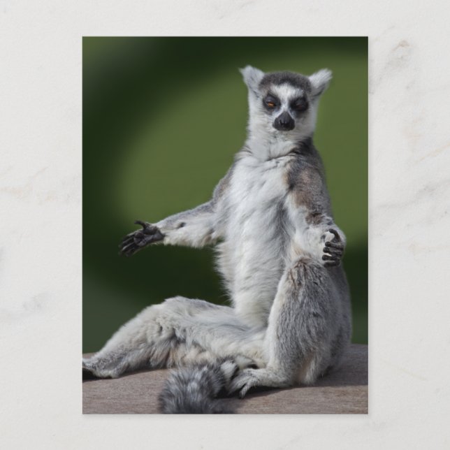 Just Chill Postcard Postkarte (Vorderseite)