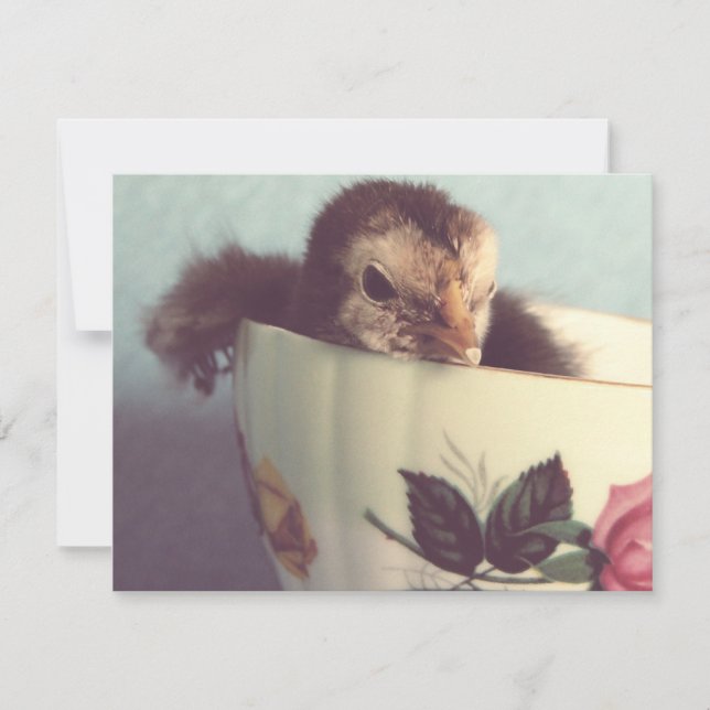 Just Chillin' (Vorderseite)