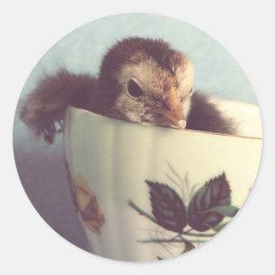 Just Chillin' Runder Aufkleber